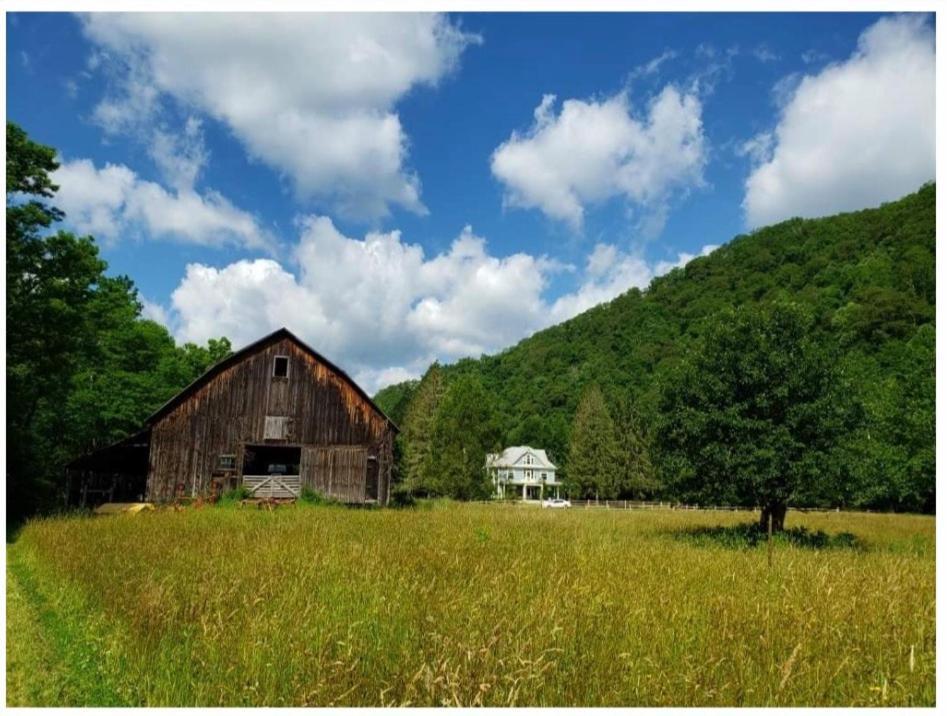 Laurel River Club Bed & Breakfast Or Lrcbnb Dryfork Esterno foto